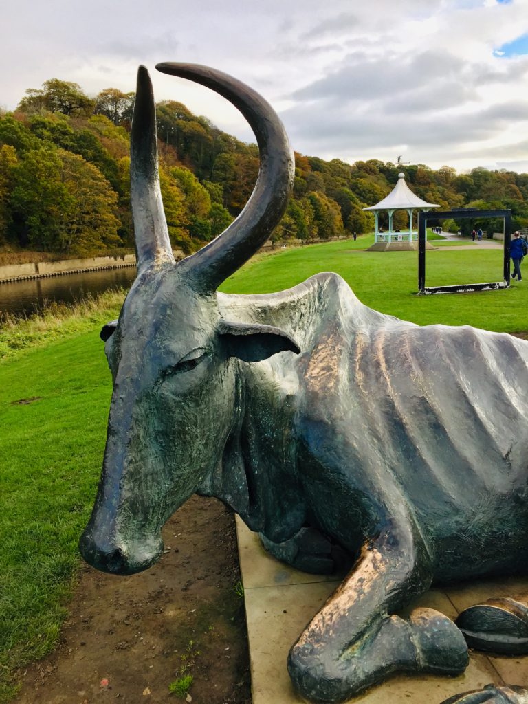 picture of the durham cow statue next to the river wear in durham