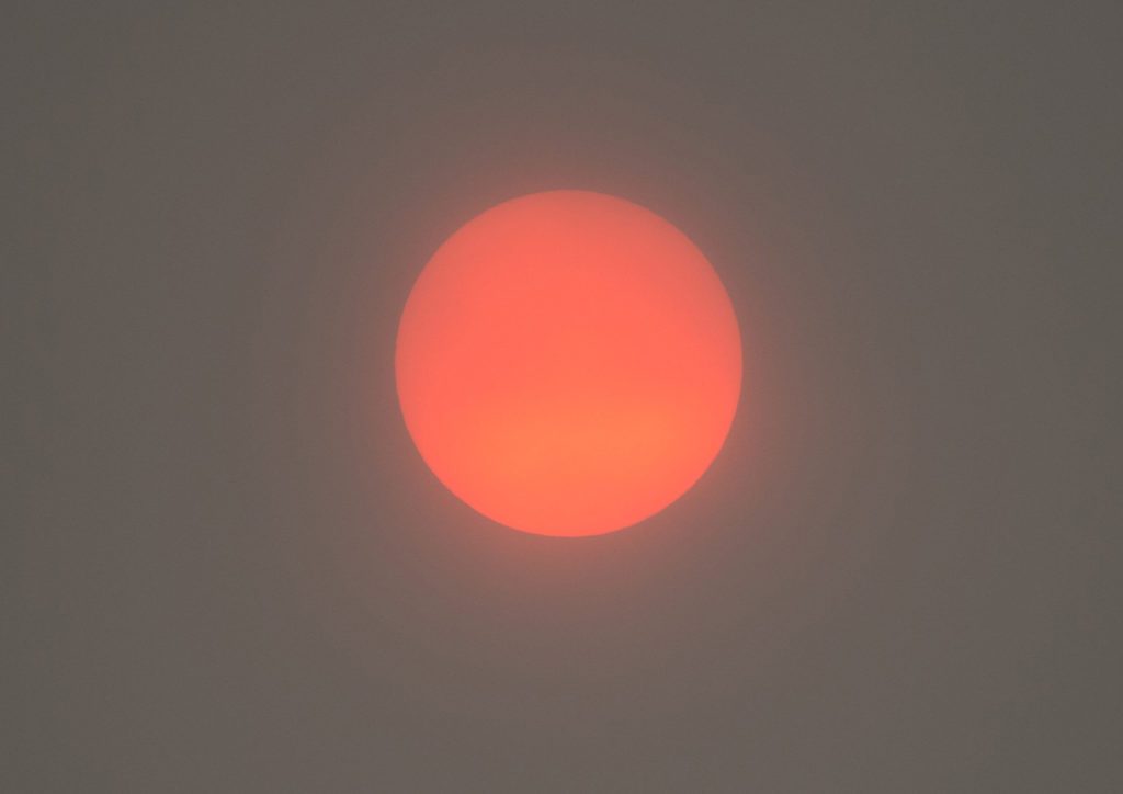 picture of Hazy red sun caused by forest fires