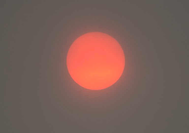 picture of Hazy red sun caused by forest fires