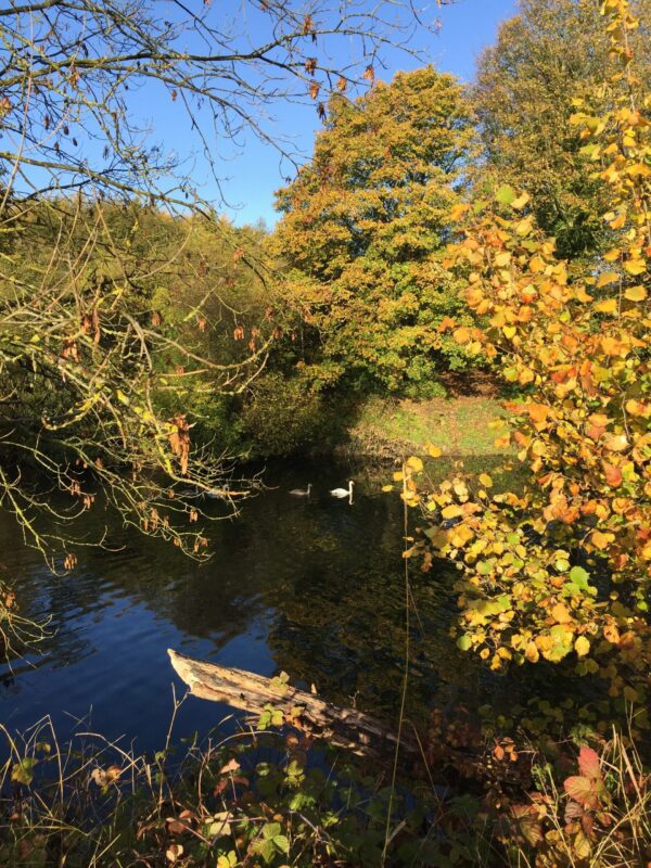 More autumn colours in Durham, back in GMT again - Durham Weather