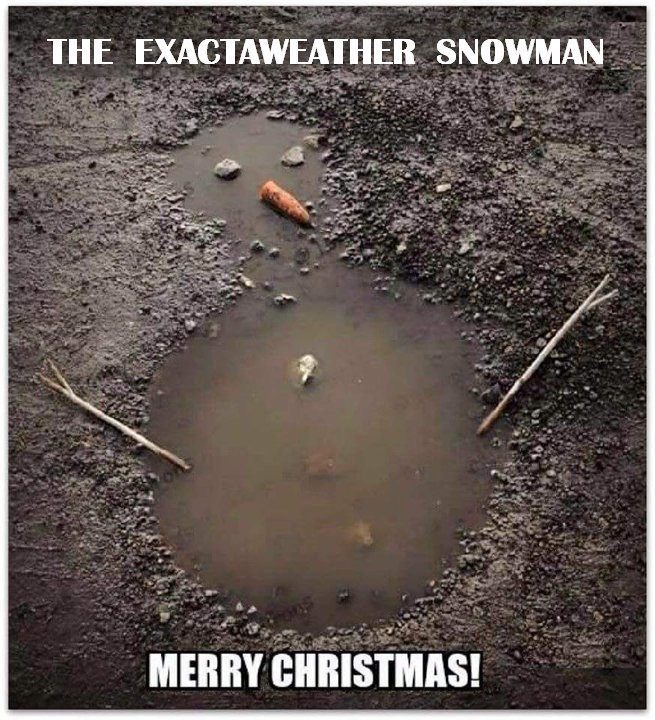 exacta weather snowman - a puddle with sticks, stones and a carrot made to look like a melted snowman