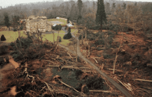 trees felled in the great storm of october 1987
