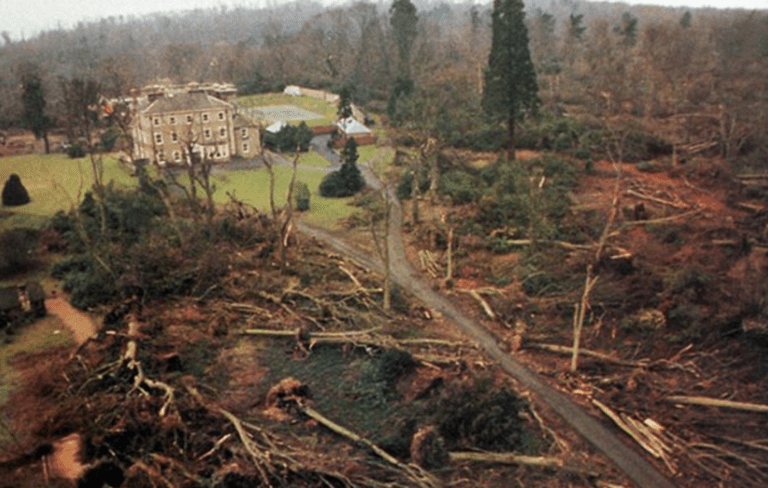 trees felled in the great storm of october 1987