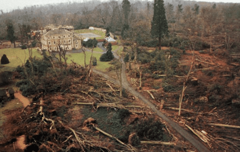 trees felled in the great storm of october 1987