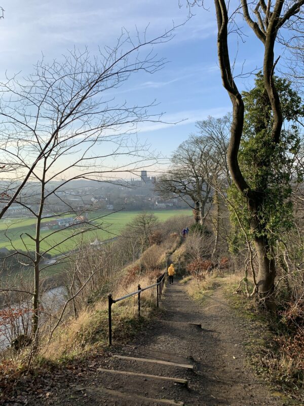 a view across the river wear from pelaw wood, looking towards durham city and the cathedral in the distance