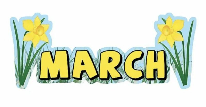 March banner : daffodils