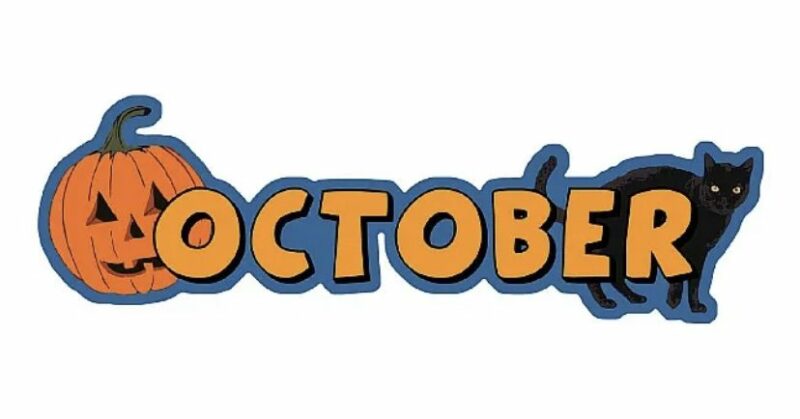 October banner : pumpkin and black cat