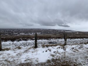 A dusting of snowfall on the moors above Stanhope in County Durham, 19th Feb 2022