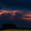 IMG_2519